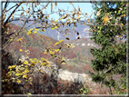 foto Da Rocca di Arsie al Col di Baio